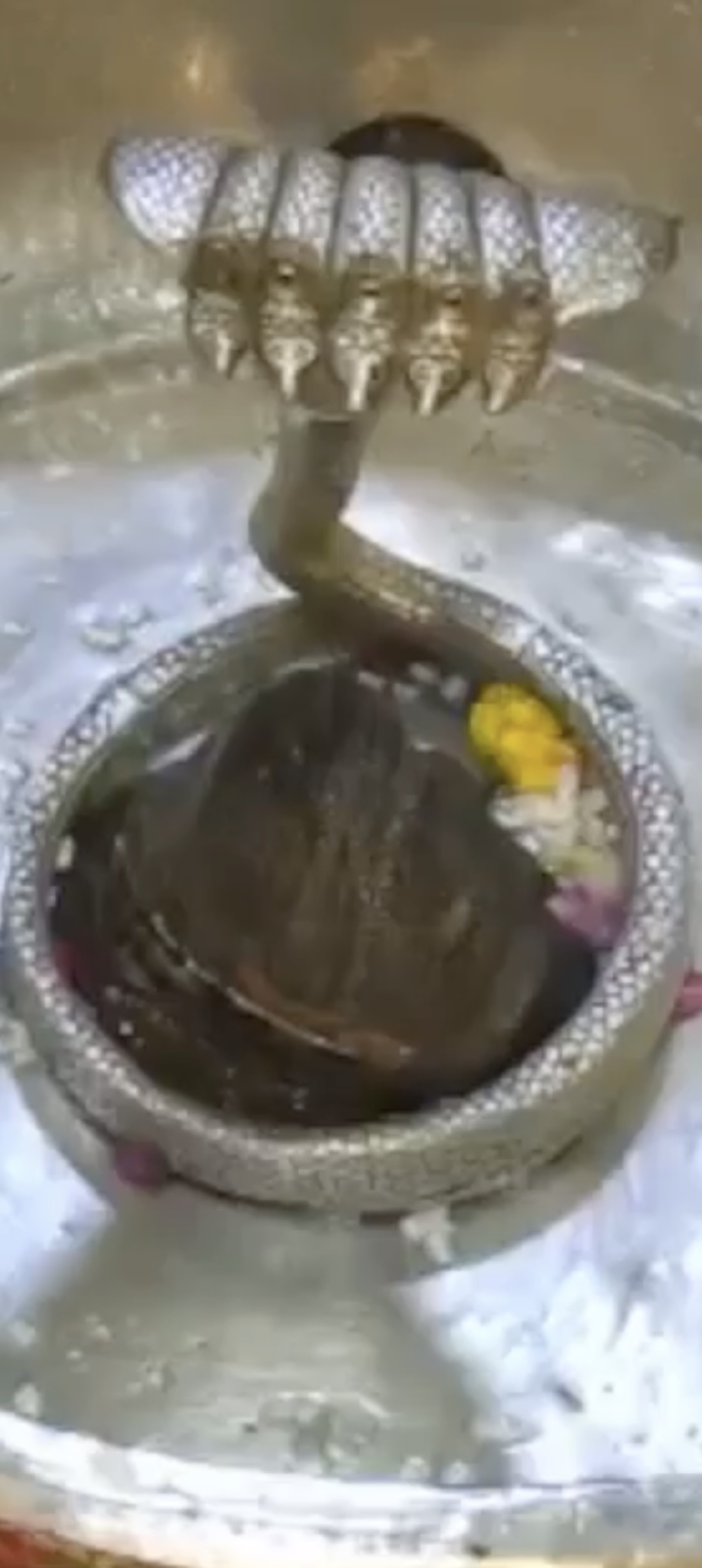 Rudrabhishek to Shree Kubereshwar Mahadev