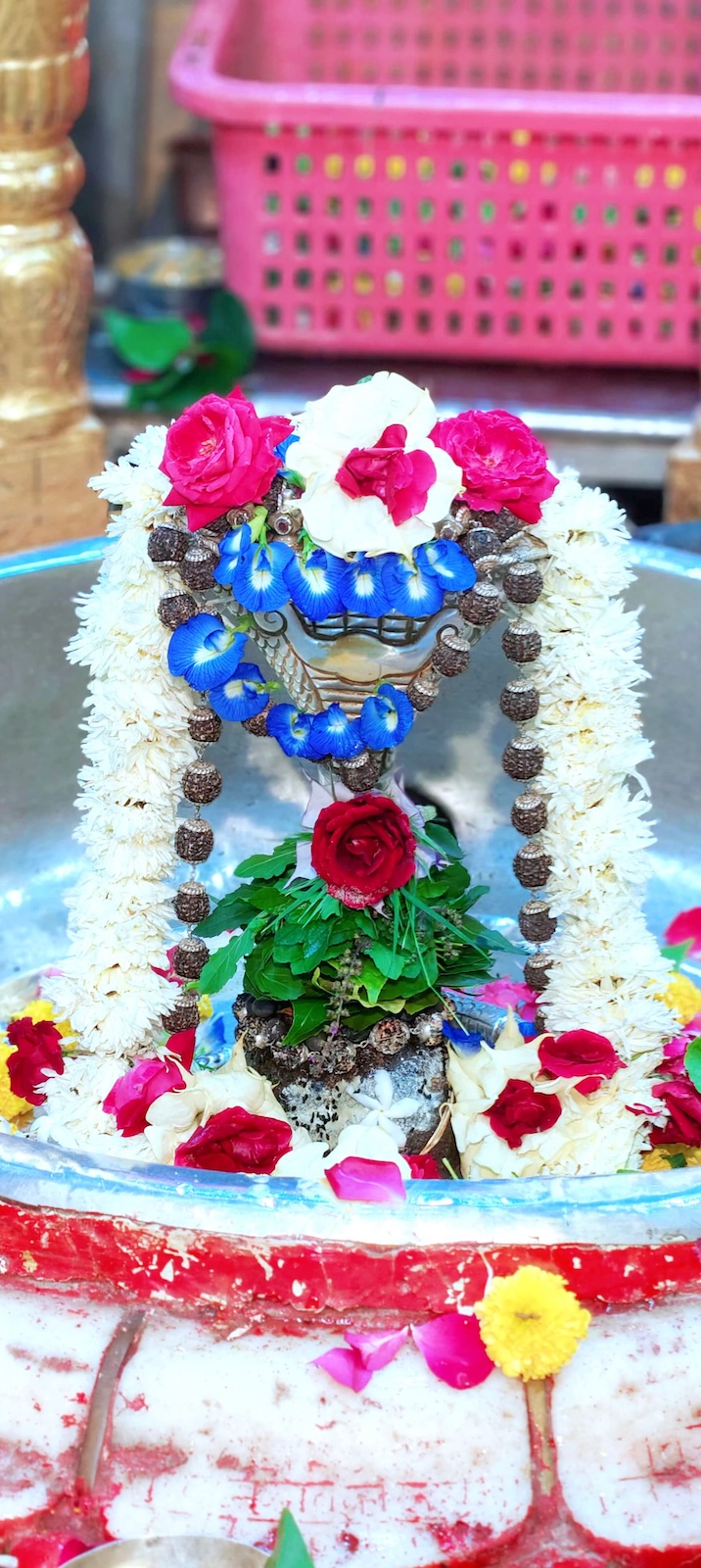 Shangar Darshan Shree Kubereshwar Mahadev