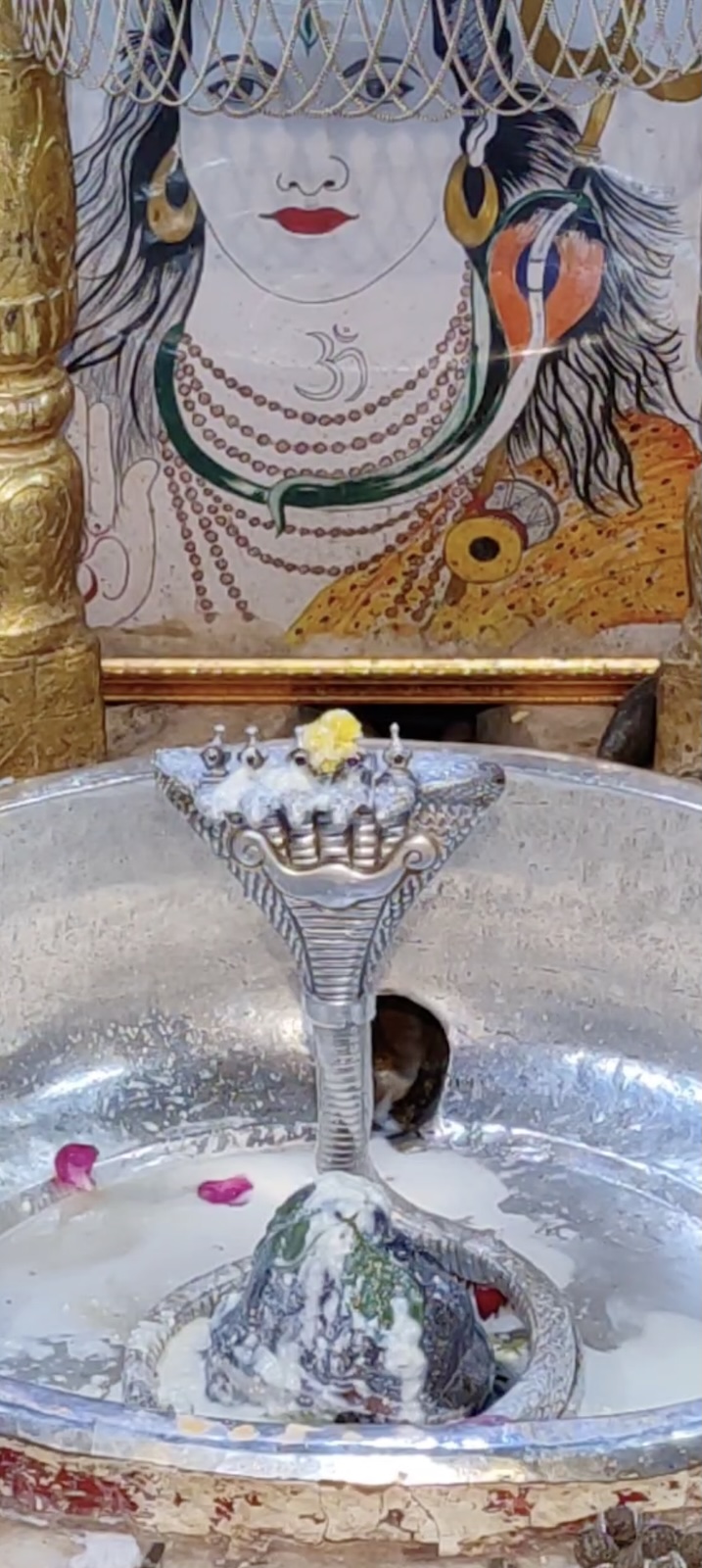 Rudrabhishek to Shree Kubereshwar Mahadev