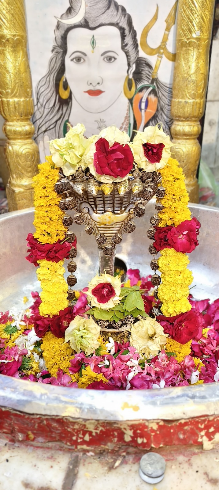 Rudrabhishek to Shree Kubereshwar Mahadev