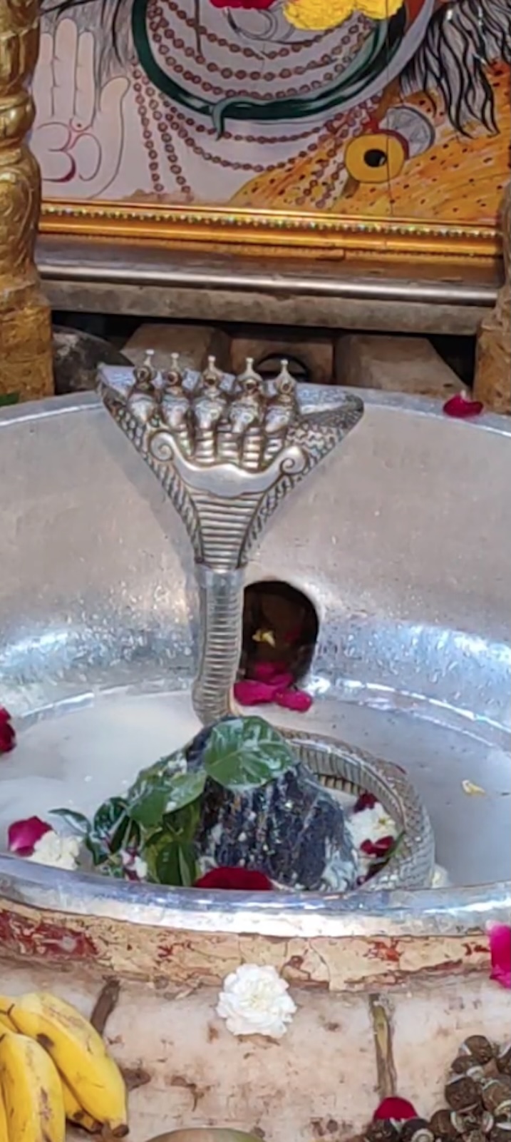 Rudrabhishek to Shree Kubereshwar Mahadev