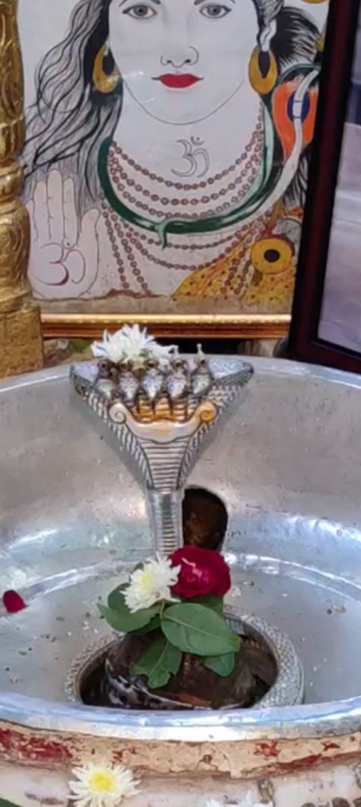 Rudrabhishek to Shree Kubereshwar Mahadev