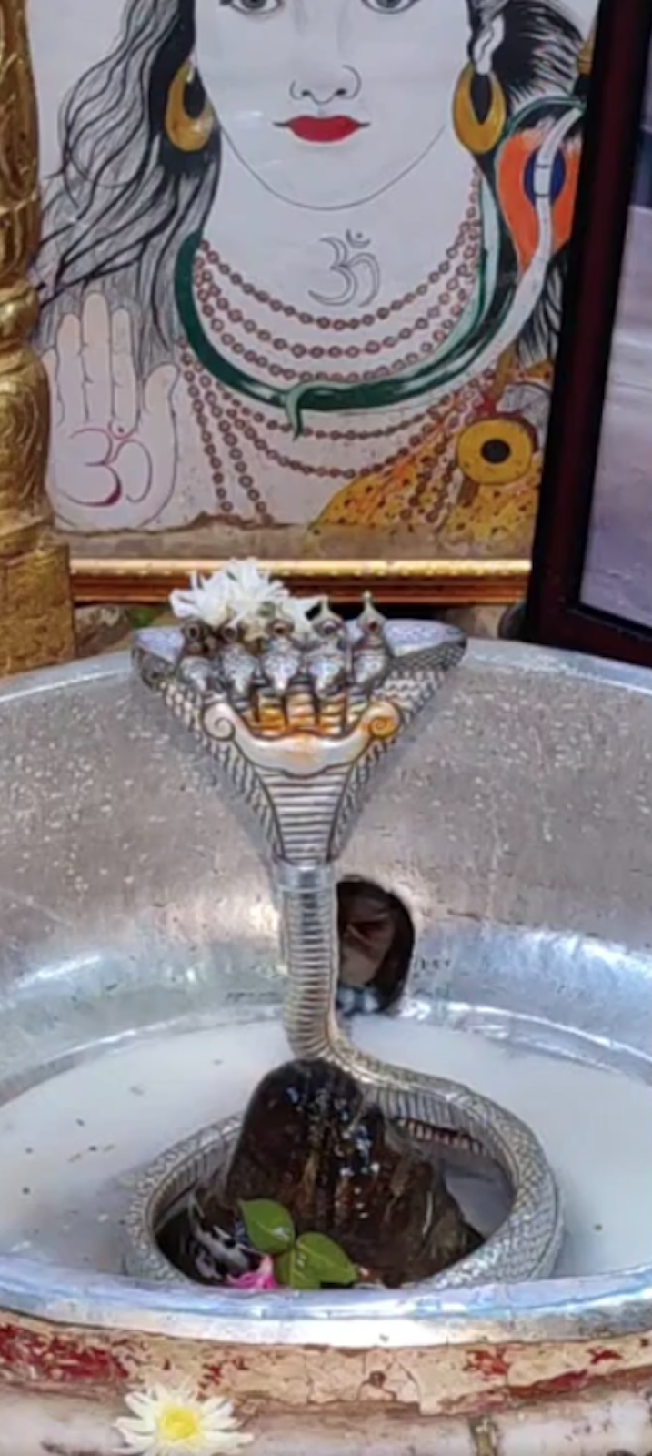 Rudrabhishek to Shree Kubereshwar Mahadev