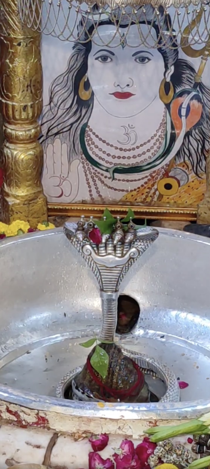 Rudrabhishek to Shree Kubereshwar Mahadev