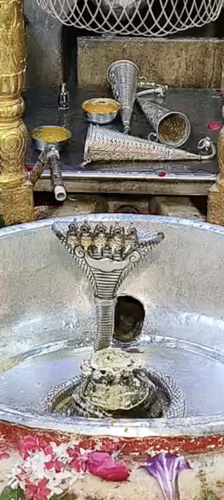 Rudrabhishek to Shree Kubereshwar Mahadev