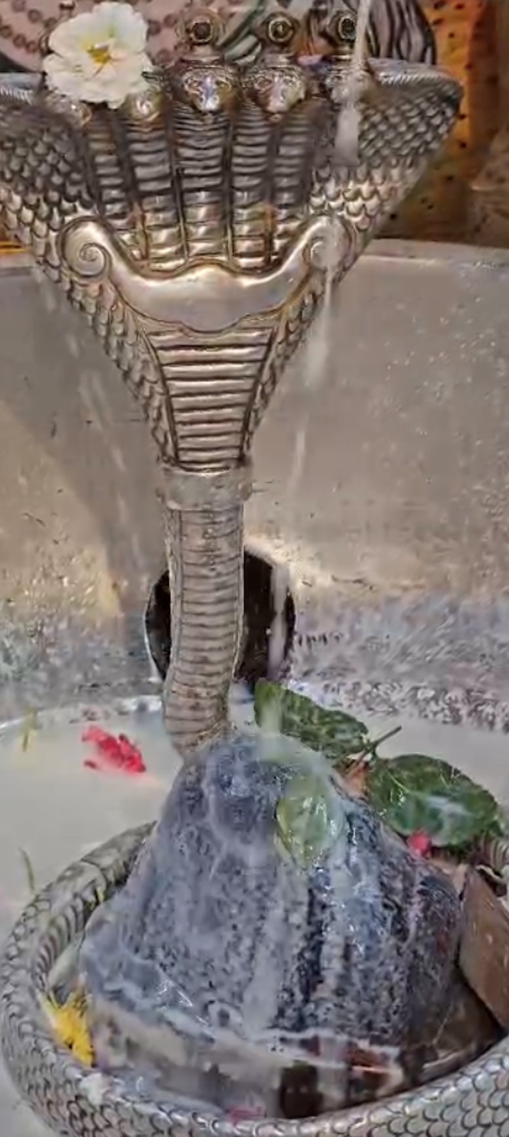 Rudrabhishek to Shree Kubereshwar Mahadev