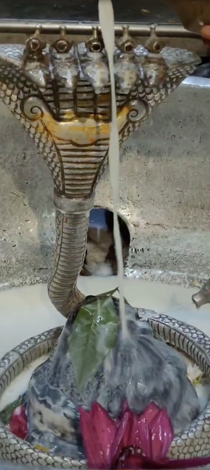 Rudrabhishek to Shree Kubereshwar Mahadev