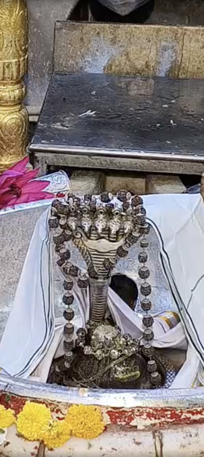 Rudrabhishek to Shree Kubereshwar Mahadev