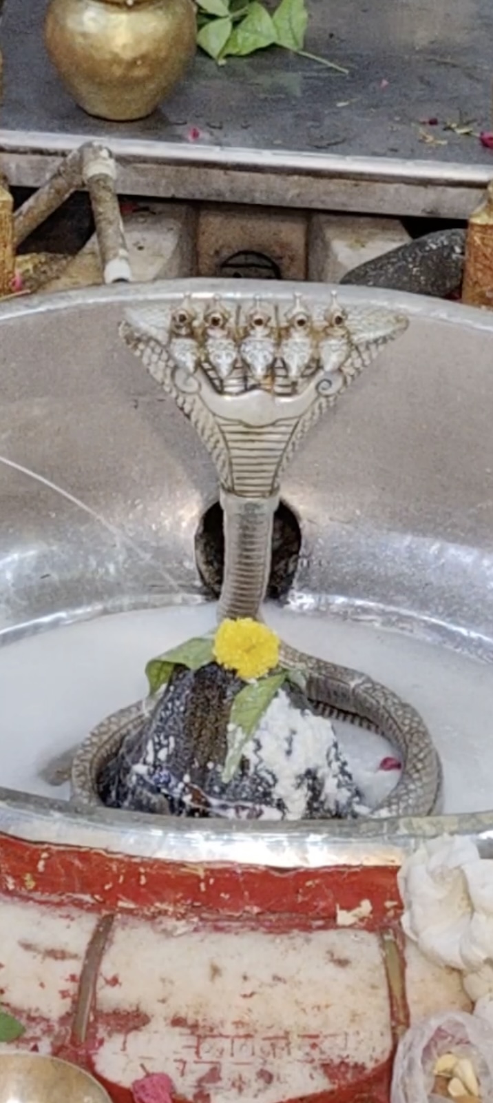 Rudrabhishek to Shree Kubereshwar Mahadev