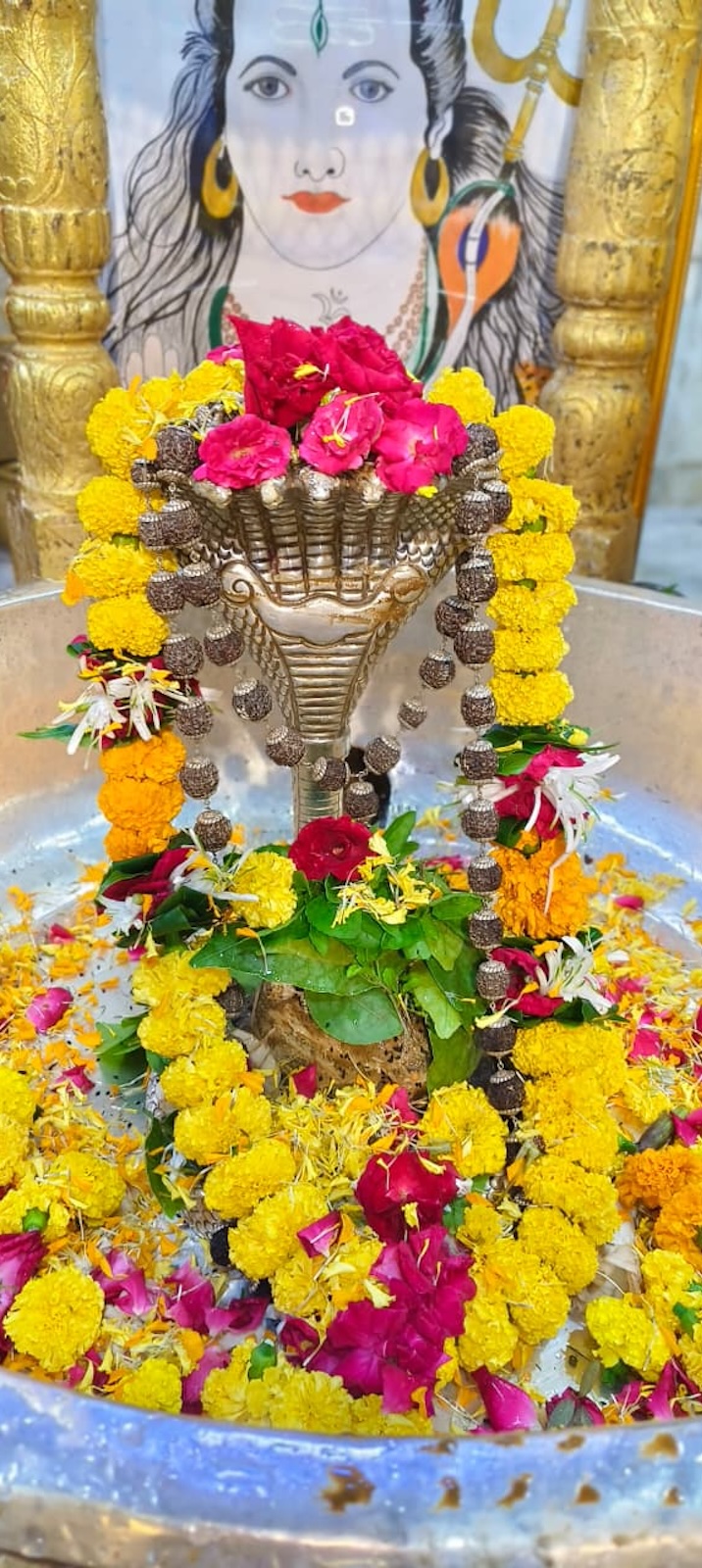 Rudrabhishek to Shree Kubereshwar Mahadev