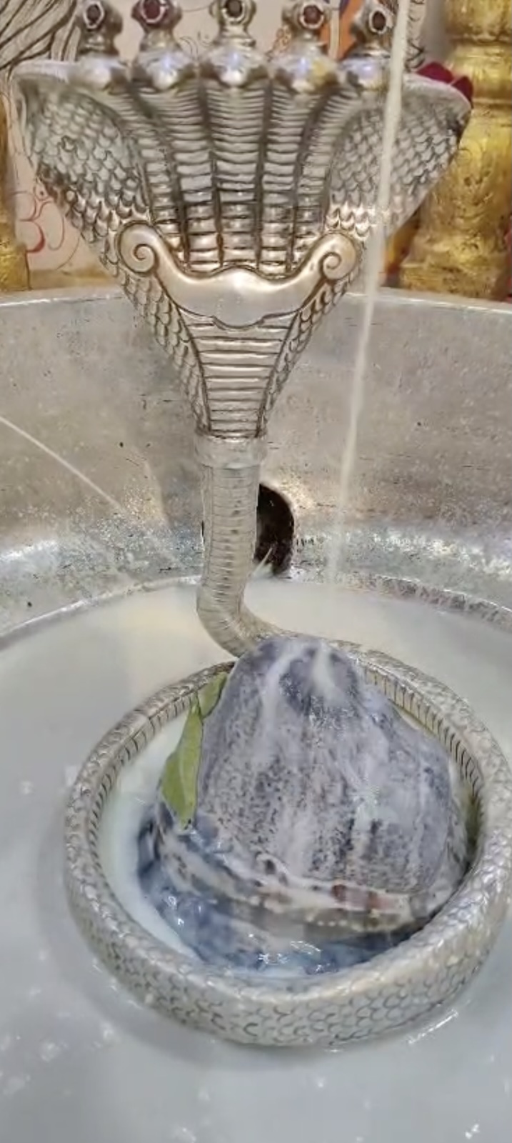 Rudrabhishek to Shree Kubereshwar Mahadev