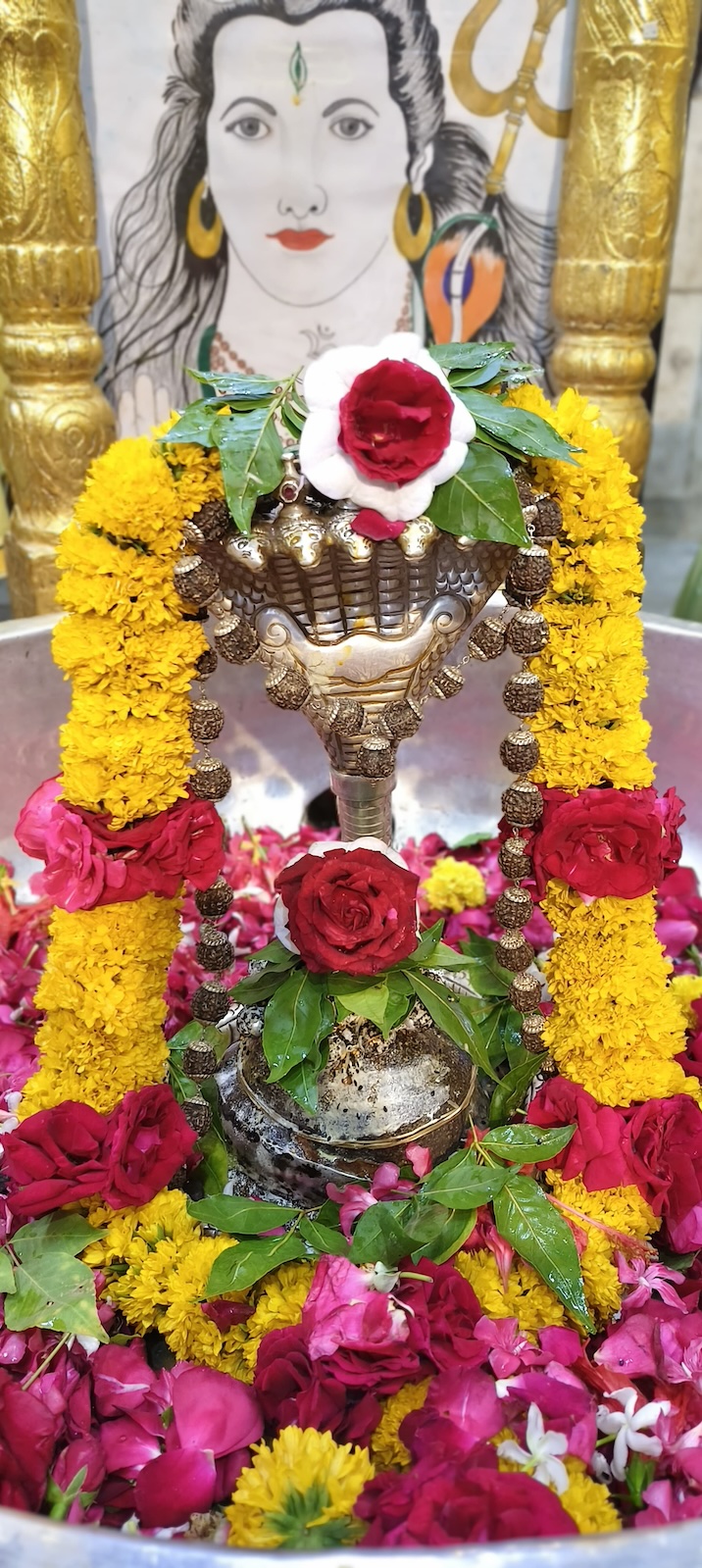 Rudrabhishek to Shree Kubereshwar Mahadev