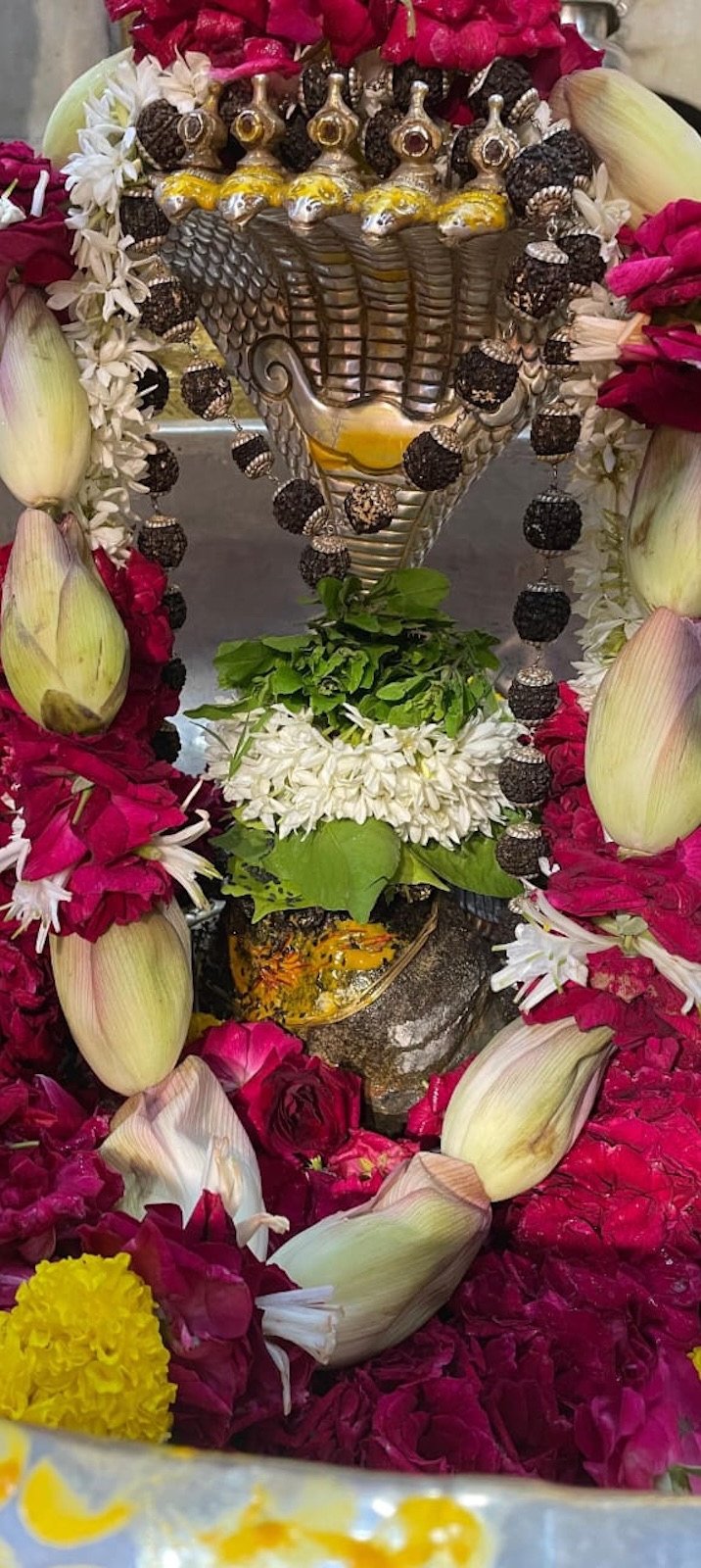 Shangar Darshan Shree Kubereshwar Mahadev