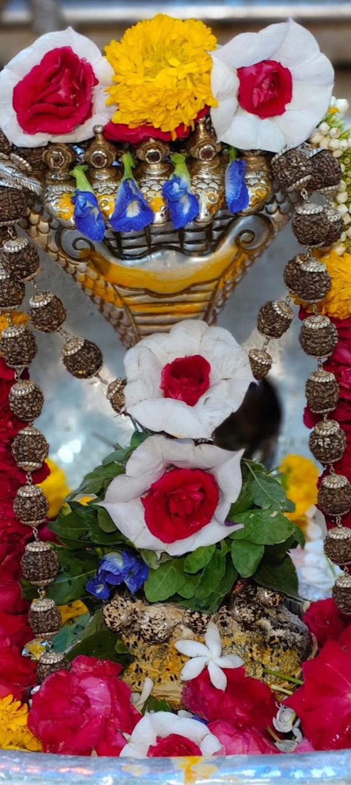 Shangar Darshan Shree Kubereshwar Mahadev