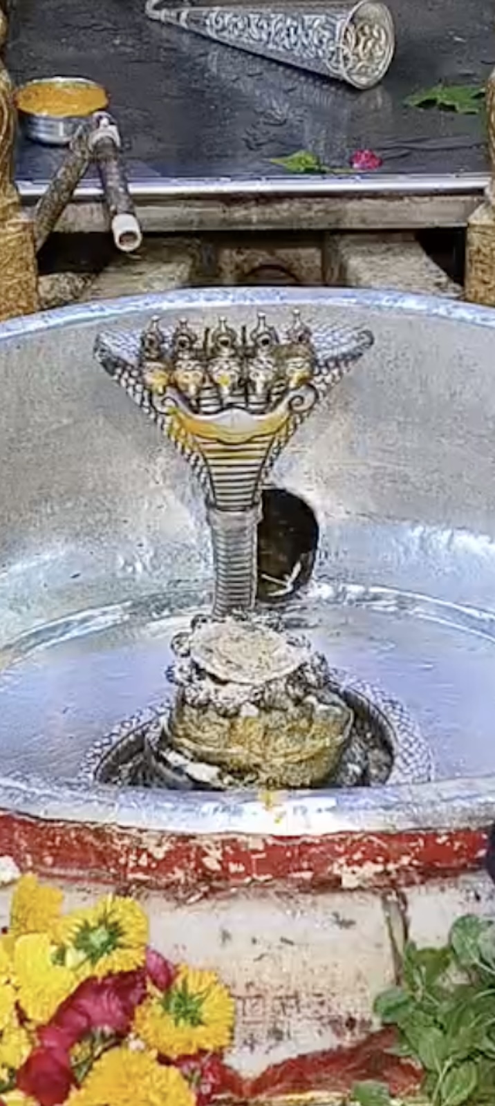 Rudrabhishek to Shree Kubereshwar Mahadev