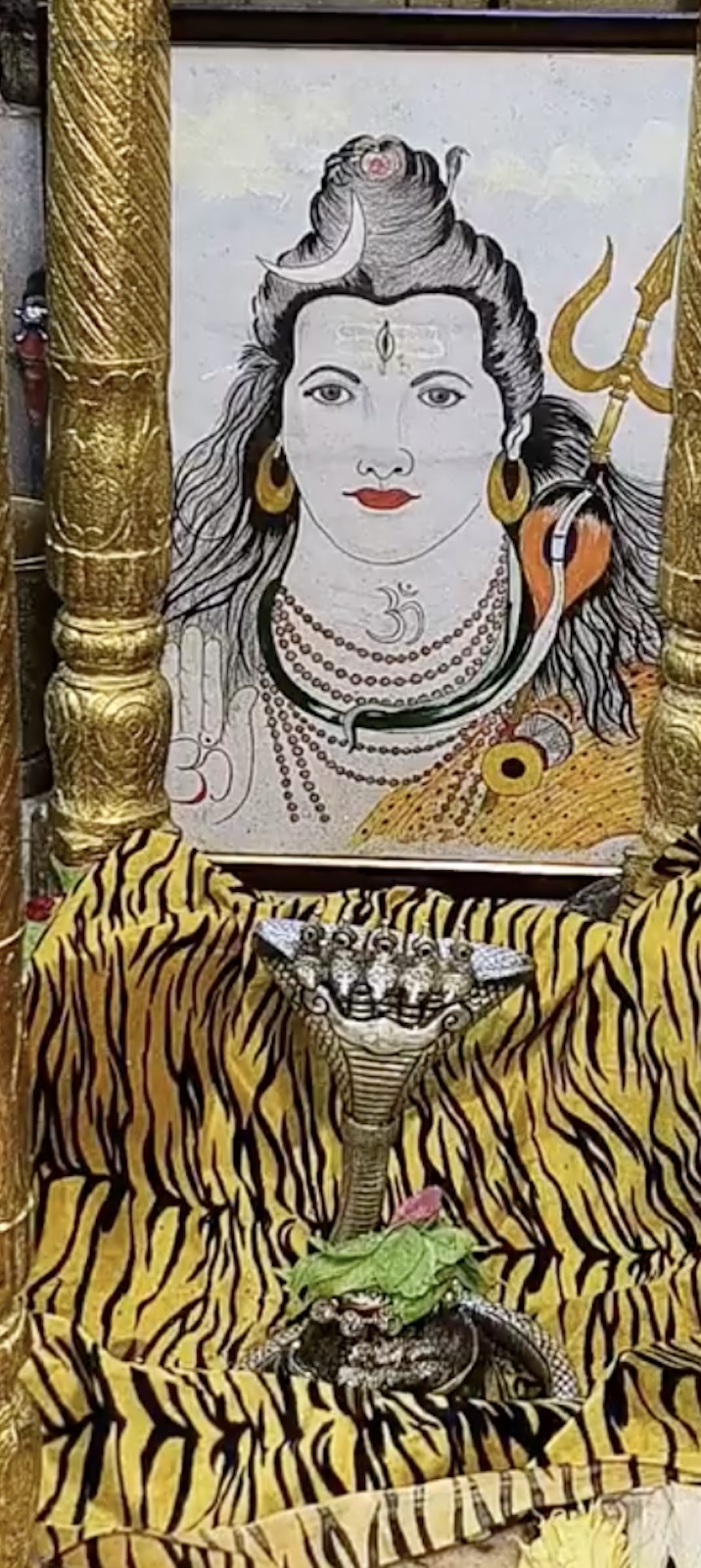 Rudrabhishek to Shree Kubereshwar Mahadev