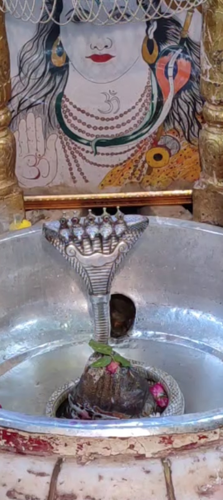Rudrabhishek to Shree Kubereshwar Mahadev