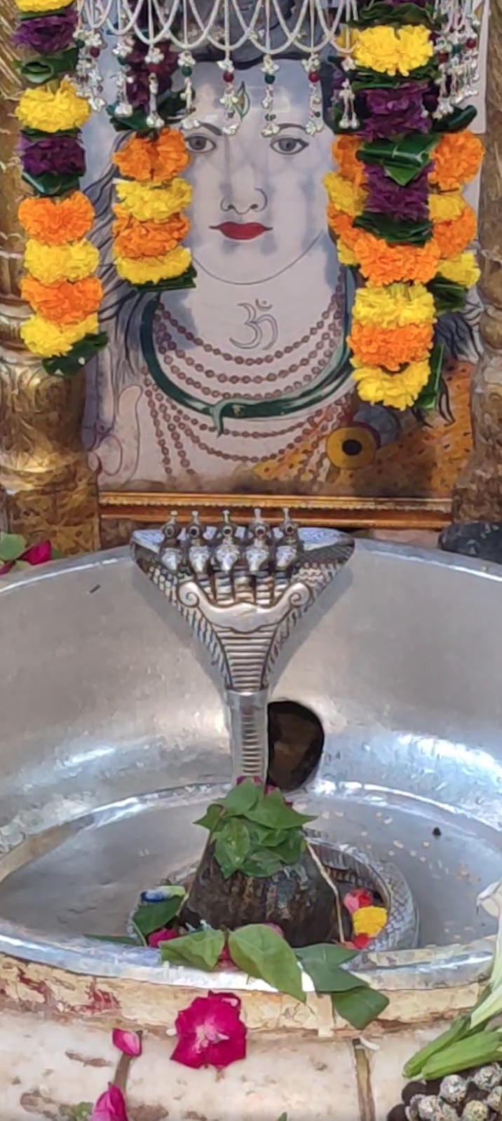 Rudrabhishek to Shree Kubereshwar Mahadev