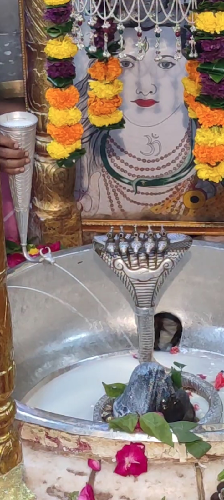 Rudrabhishek to Shree Kubereshwar Mahadev