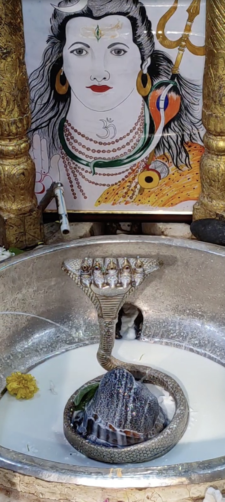 Rudrabhishek to Shree Kubereshwar Mahadev