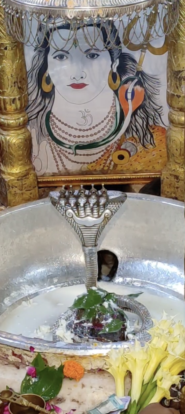 Rudrabhishek to Shree Kubereshwar Mahadev