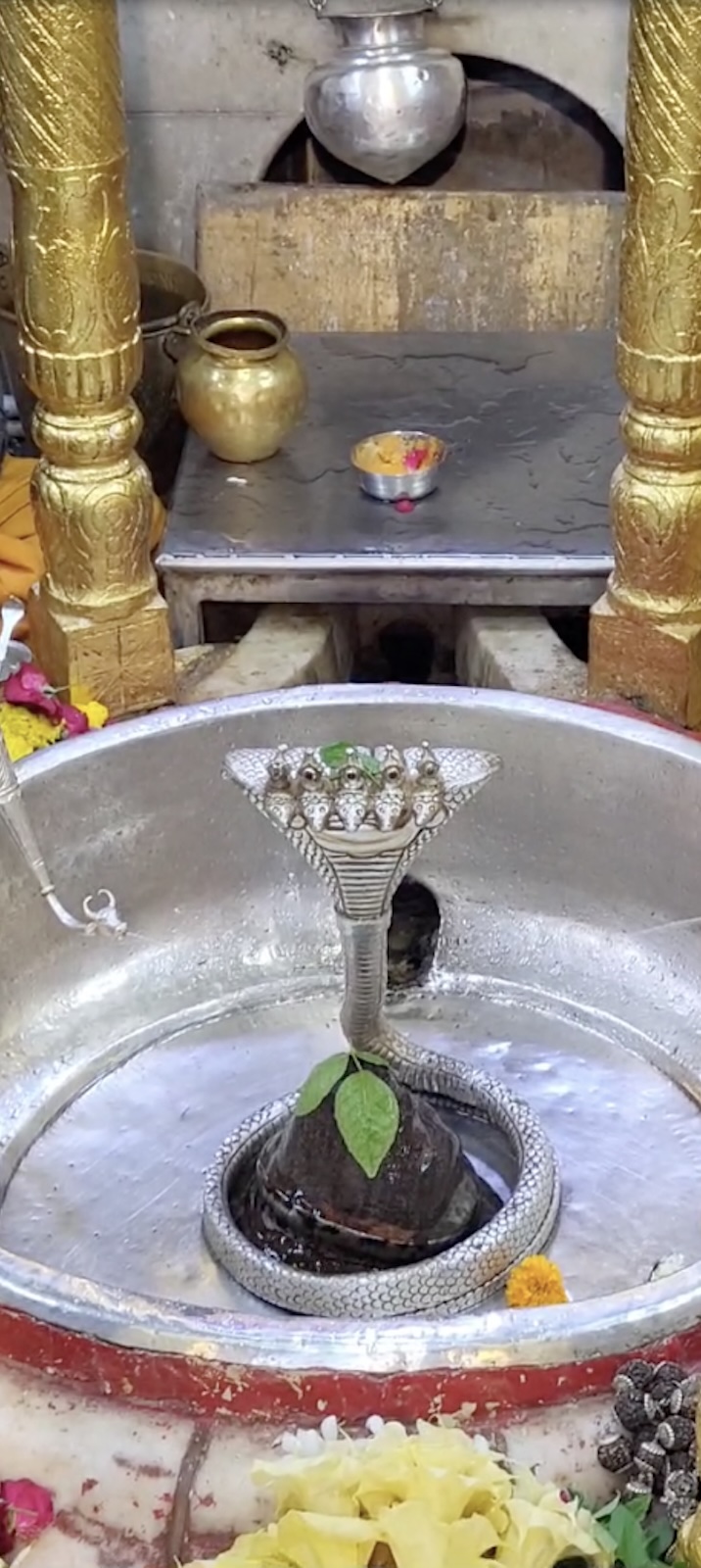 Rudrabhishek to Shree Kubereshwar Mahadev