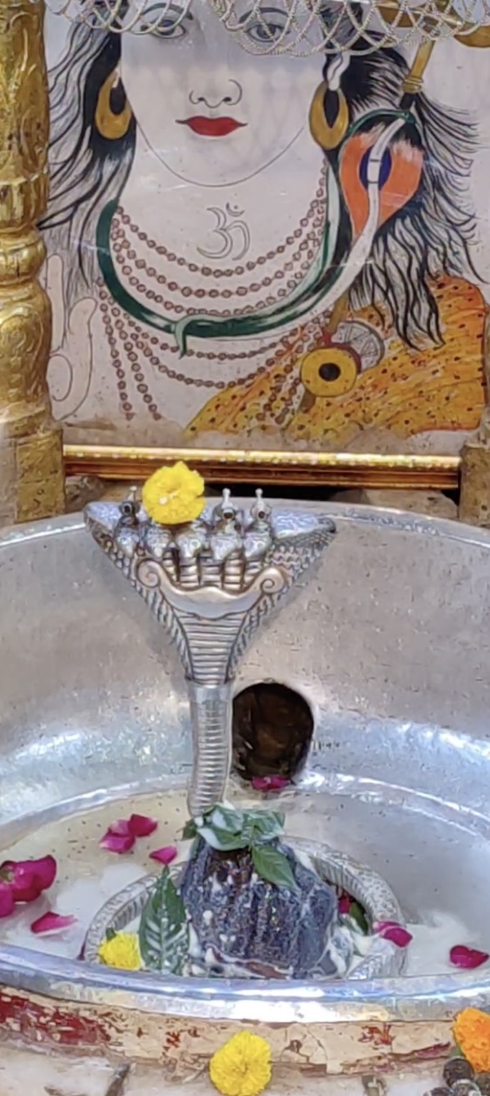 Rudrabhishek to Shree Kubereshwar Mahadev