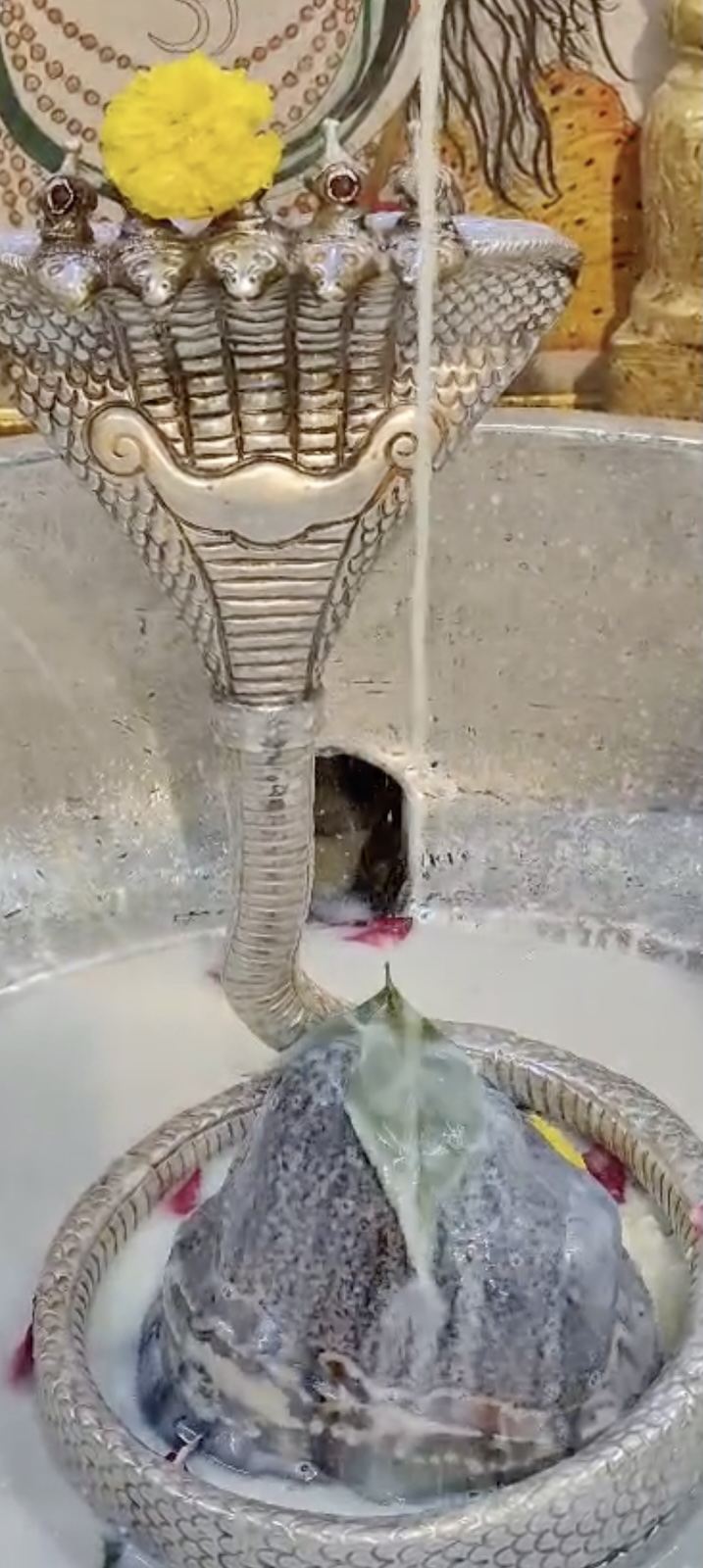 Rudrabhishek to Shree Kubereshwar Mahadev