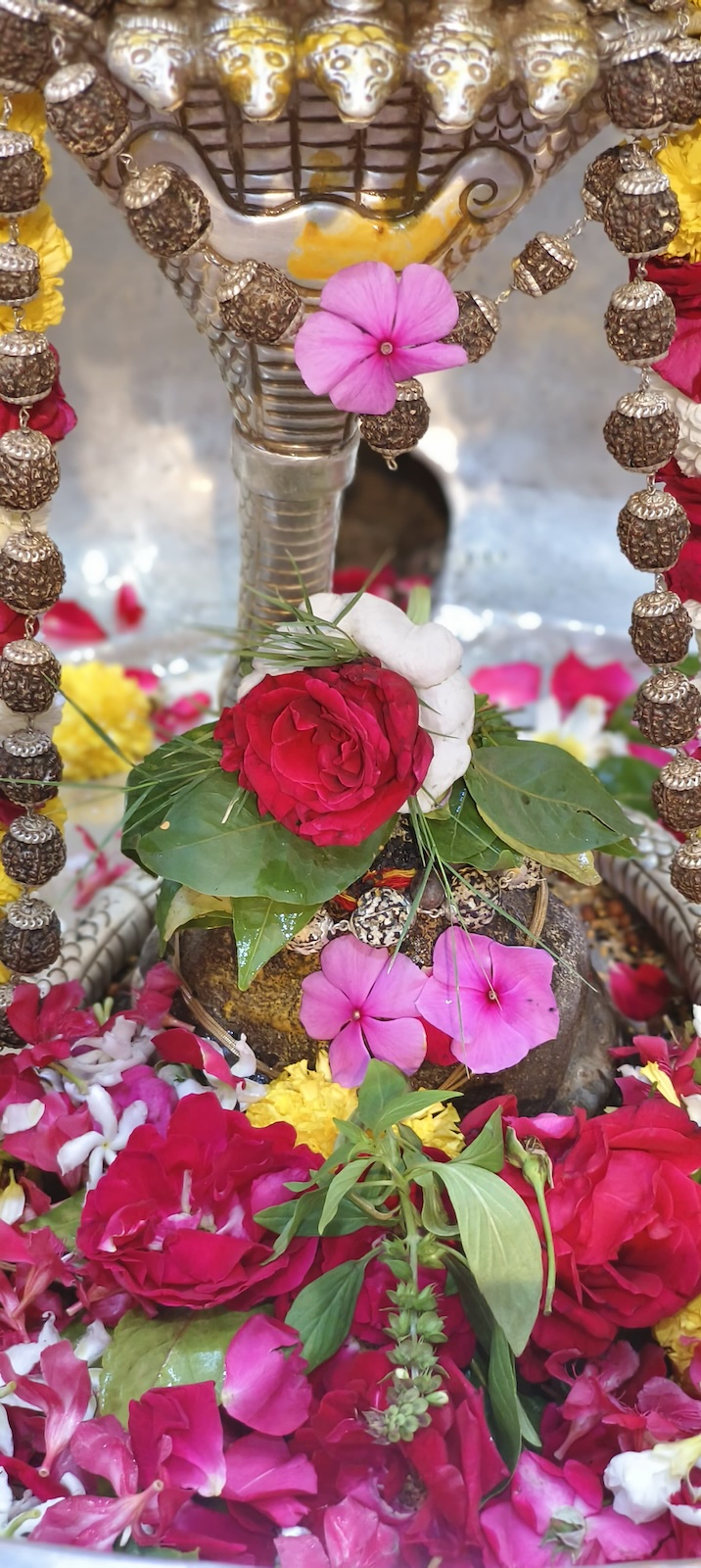 Rudrabhishek to Shree Kubereshwar Mahadev