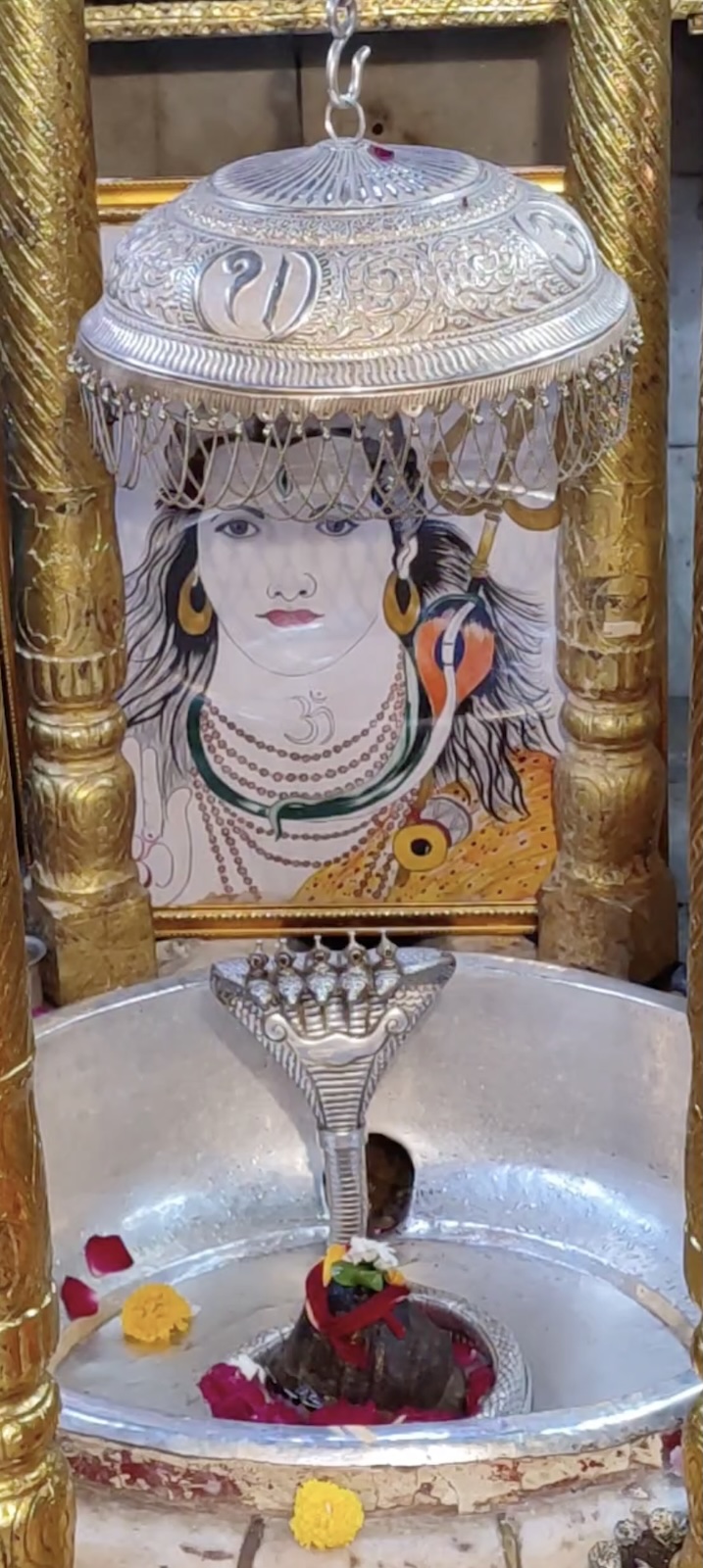 Rudrabhishek to Shree Kubereshwar Mahadev