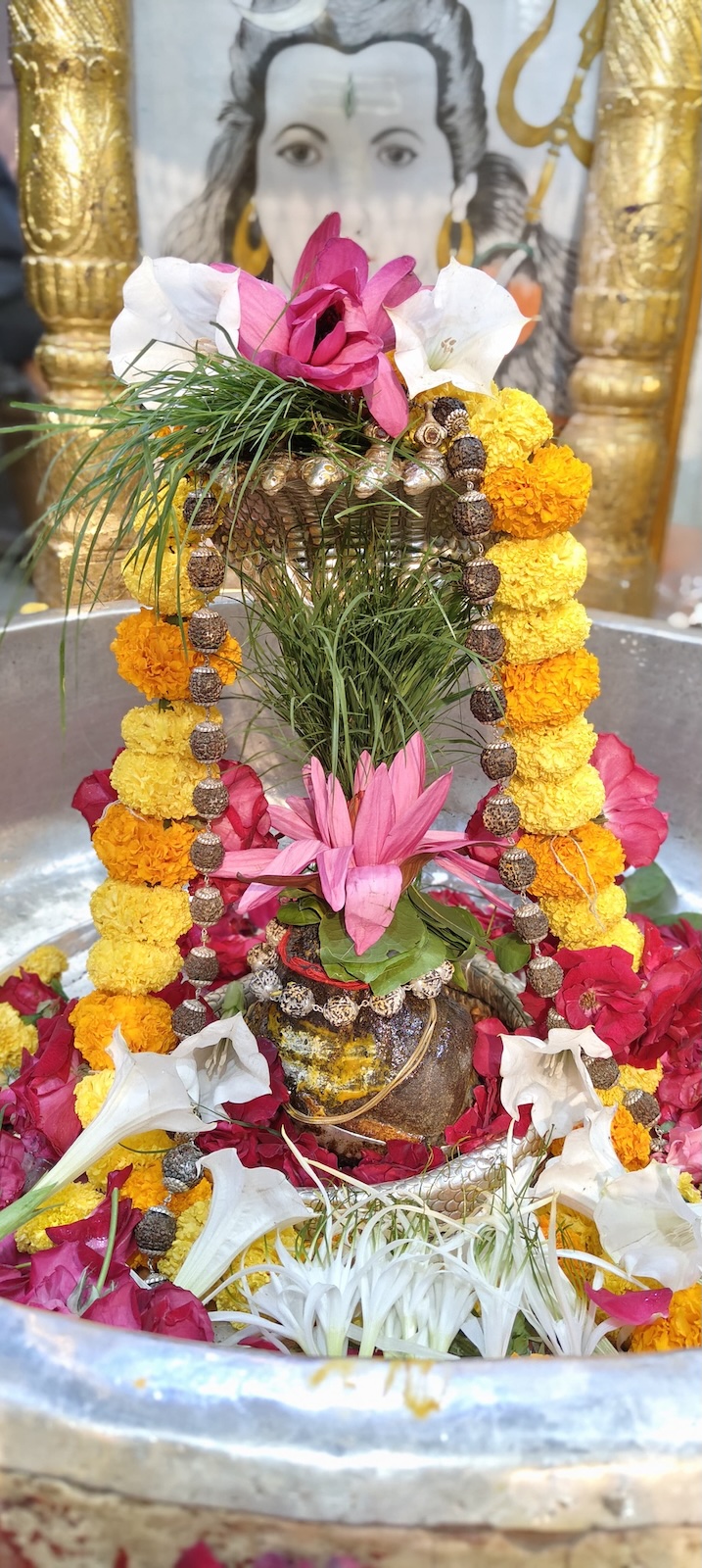 Rudrabhishek to Shree Kubereshwar Mahadev