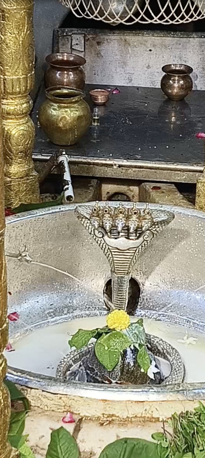 Rudrabhishek to Shree Kubereshwar Mahadev