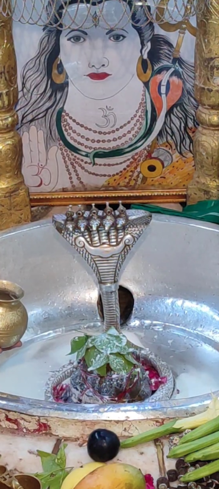 Rudrabhishek to Shree Kubereshwar Mahadev