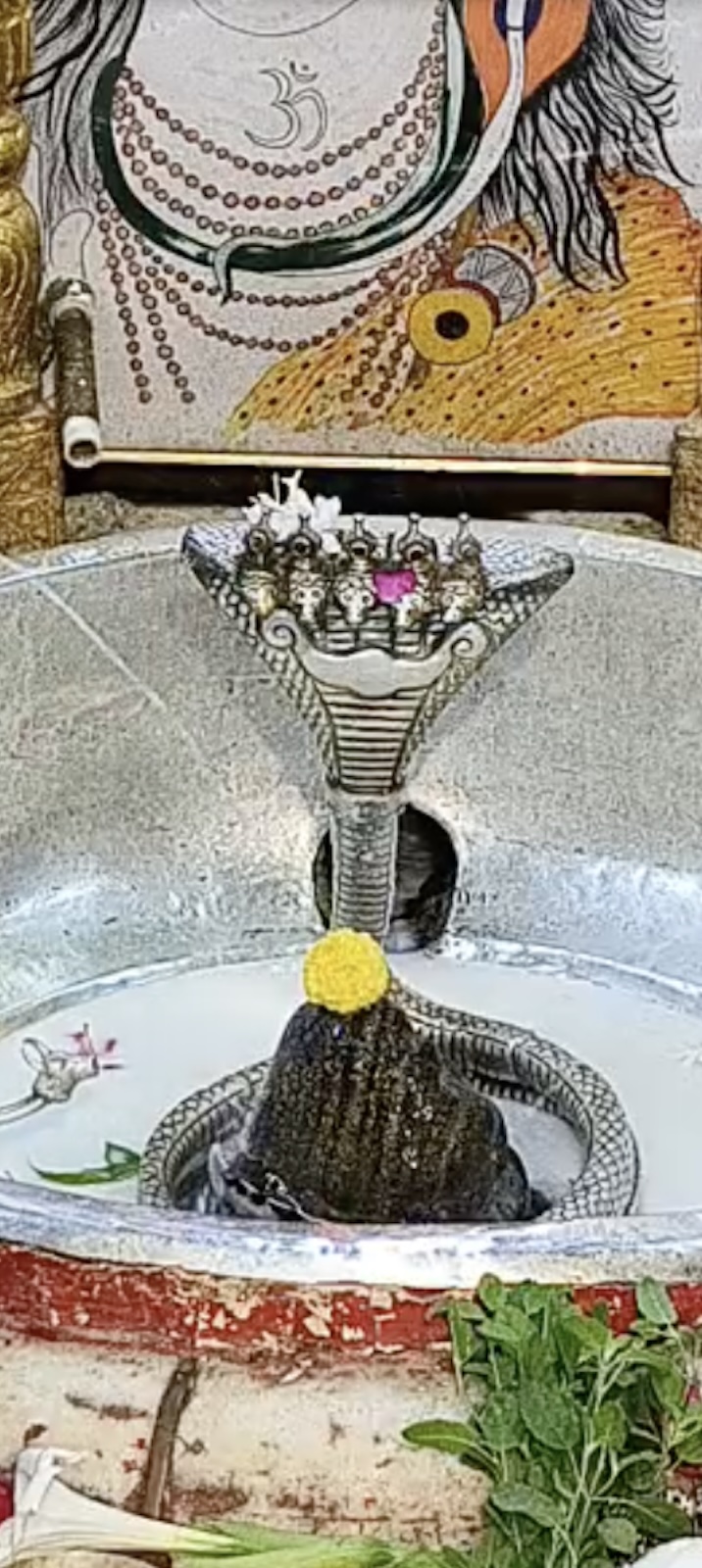 Rudrabhishek to Shree Kubereshwar Mahadev