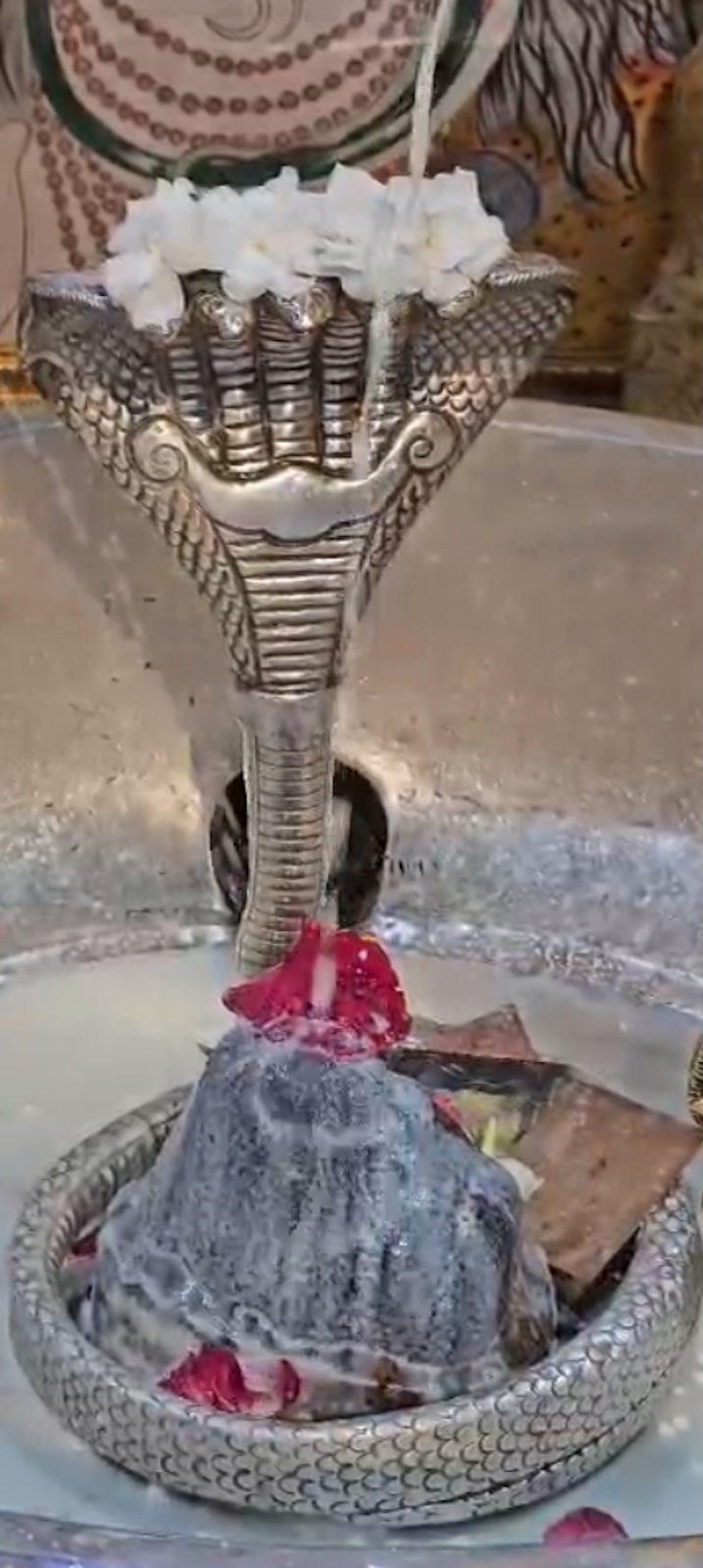 Rudrabhishek to Shree Kubereshwar Mahadev