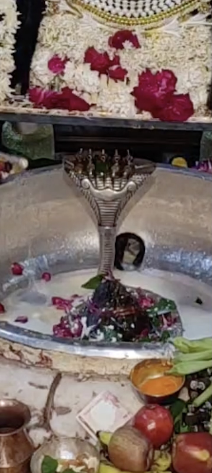 Rudrabhishek to Shree Kubereshwar Mahadev