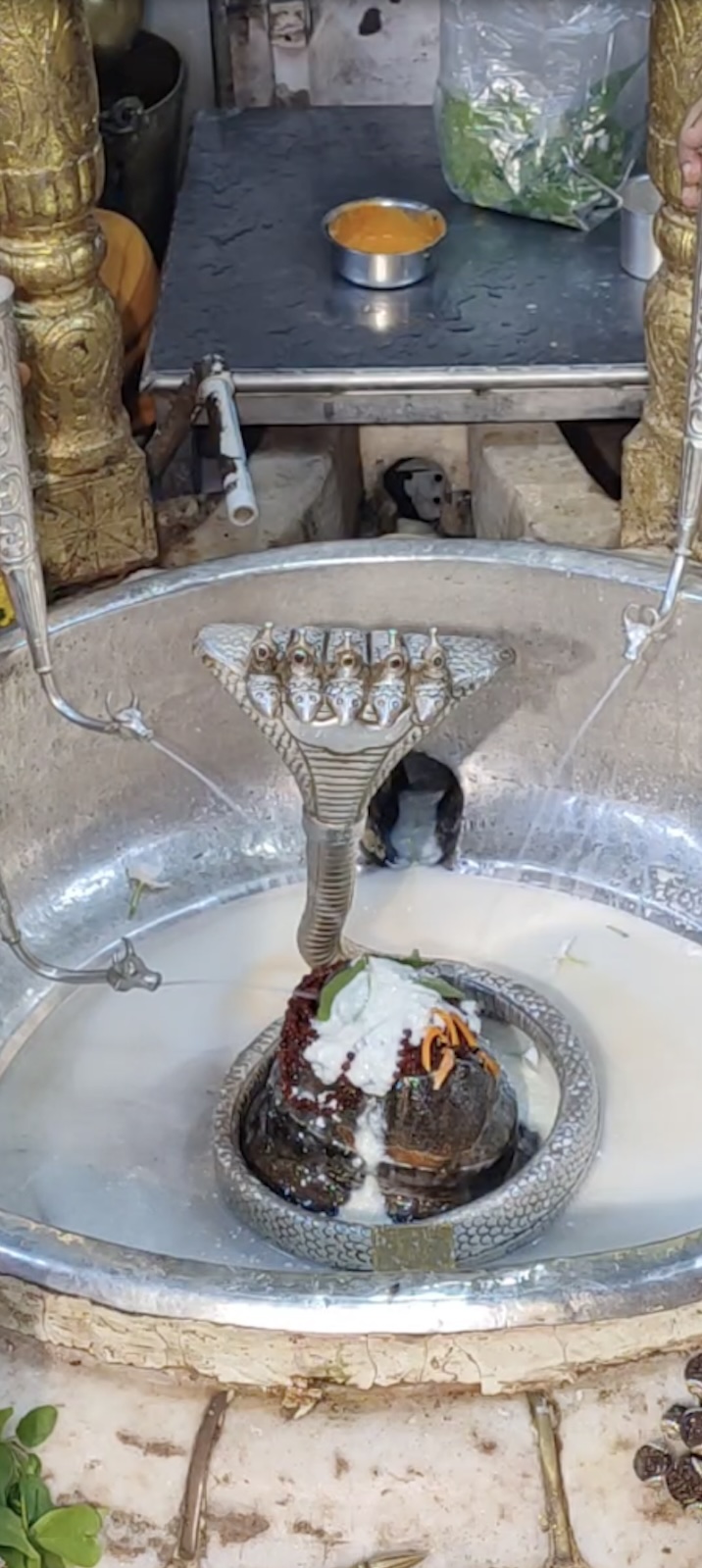 Rudrabhishek to Shree Kubereshwar Mahadev