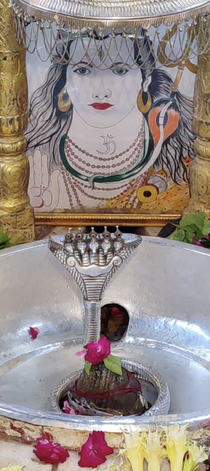 Rudrabhishek to Shree Kubereshwar Mahadev