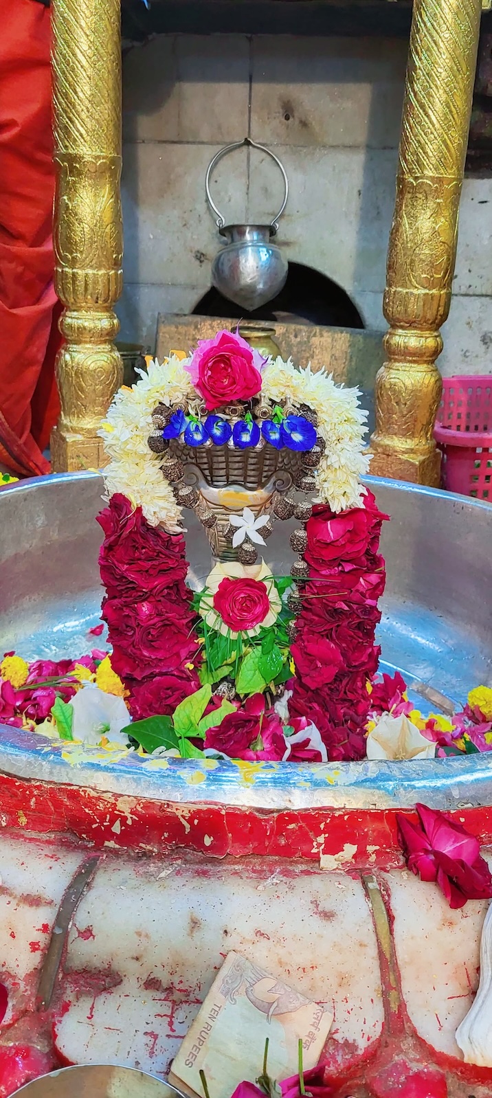 Rudrabhishek to Shree Kubereshwar Mahadev