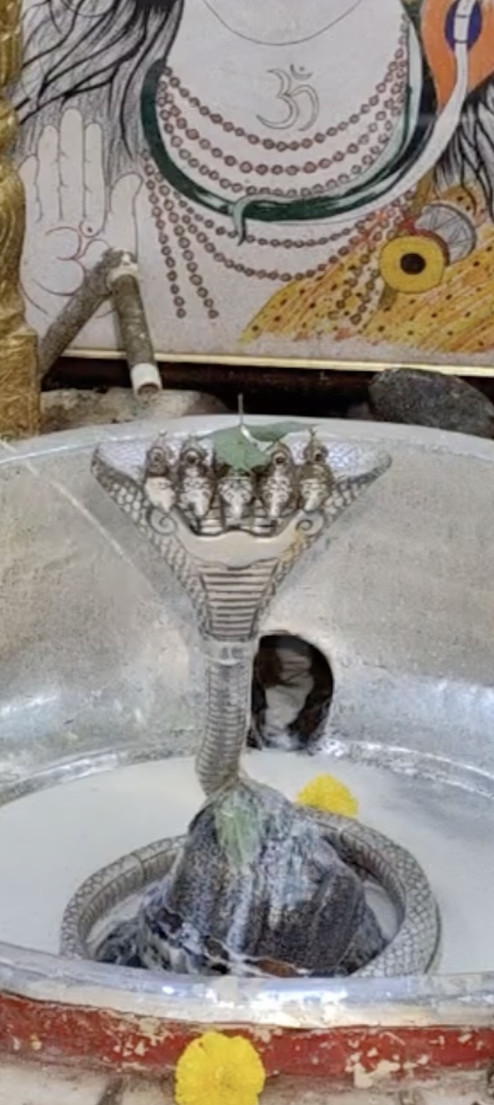 Rudrabhishek to Shree Kubereshwar Mahadev