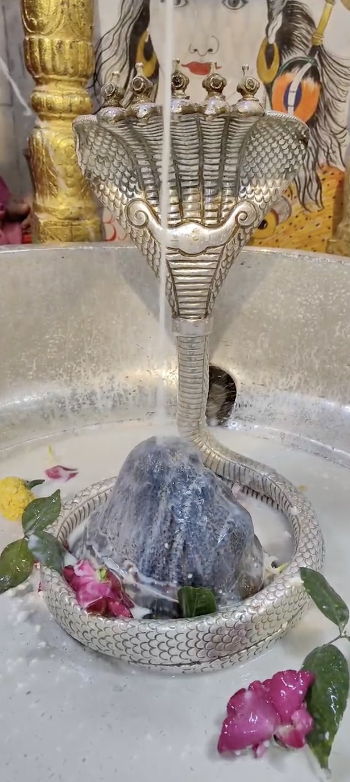 Rudrabhishek to Shree Kubereshwar Mahadev