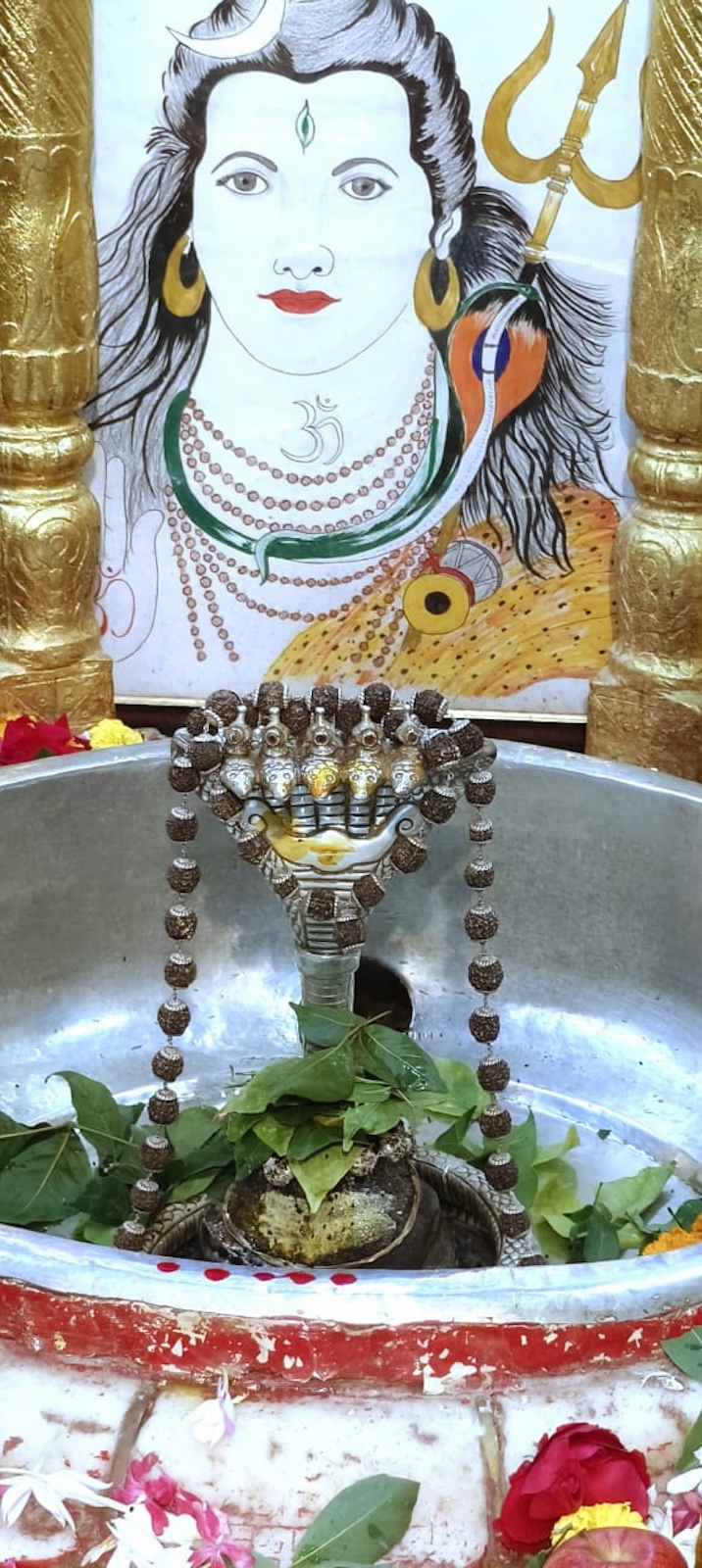 Rudrabhishek to Shree Kubereshwar Mahadev