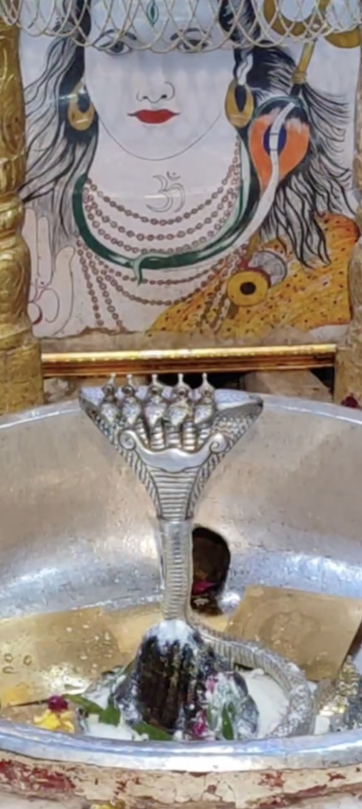 Rudrabhishek to Shree Kubereshwar Mahadev