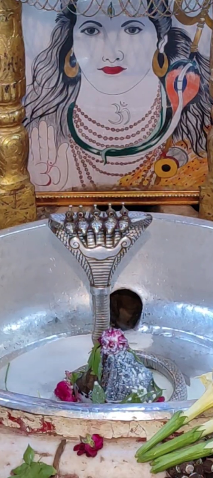 Rudrabhishek to Shree Kubereshwar Mahadev