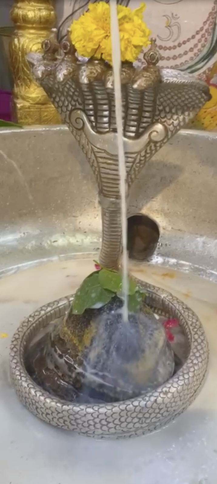 Rudrabhishek to Shree Kubereshwar Mahadev