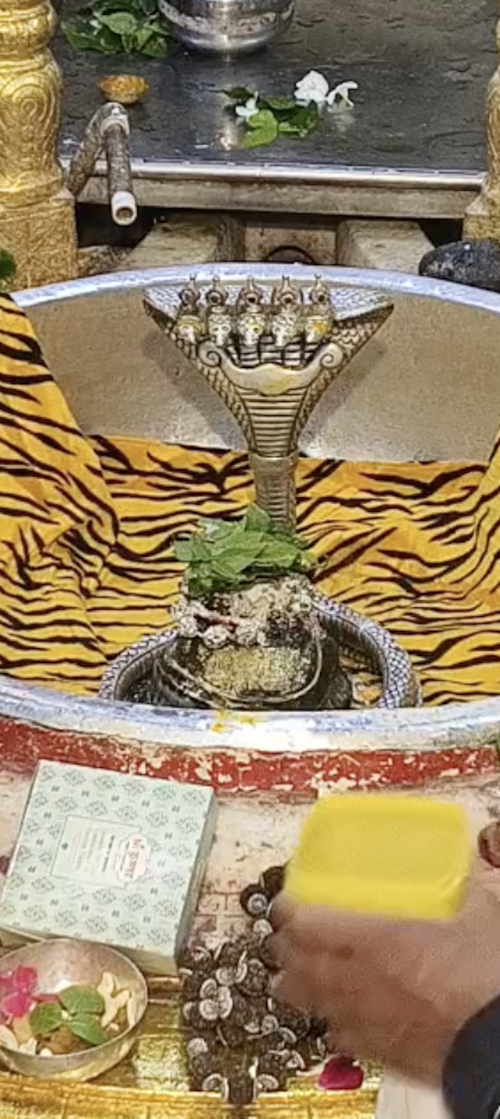 Rudrabhishek to Shree Kubereshwar Mahadev