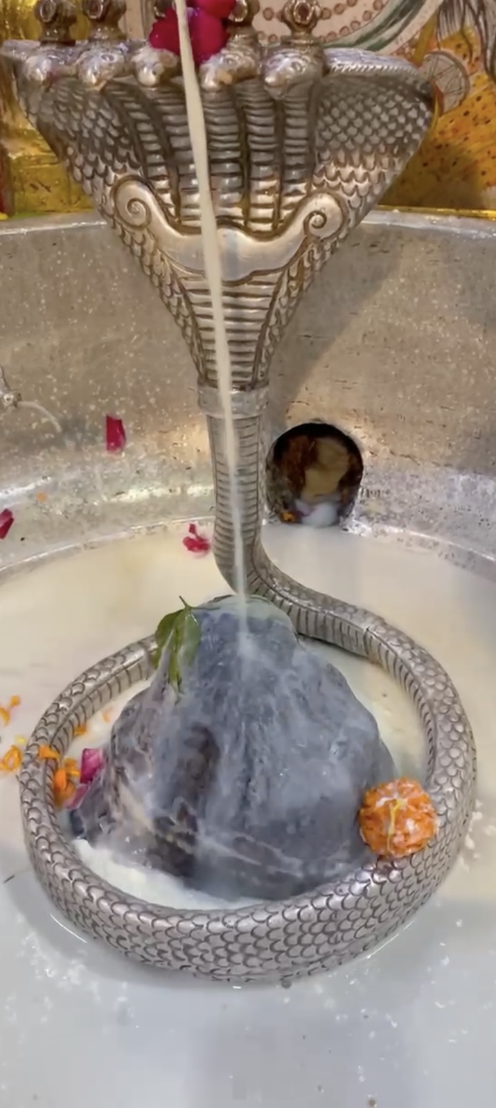 Rudrabhishek to Shree Kubereshwar Mahadev