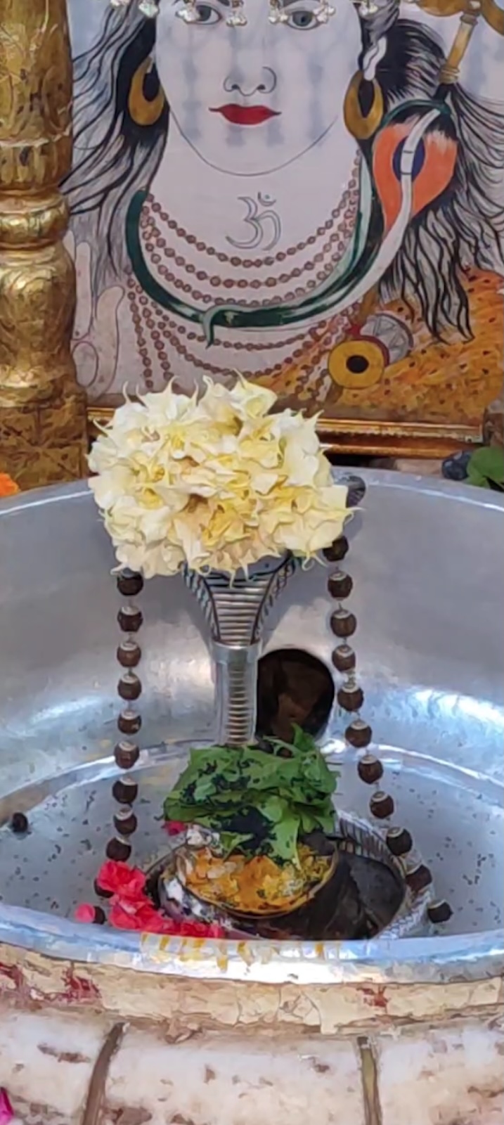 Rudrabhishek to Shree Kubereshwar Mahadev