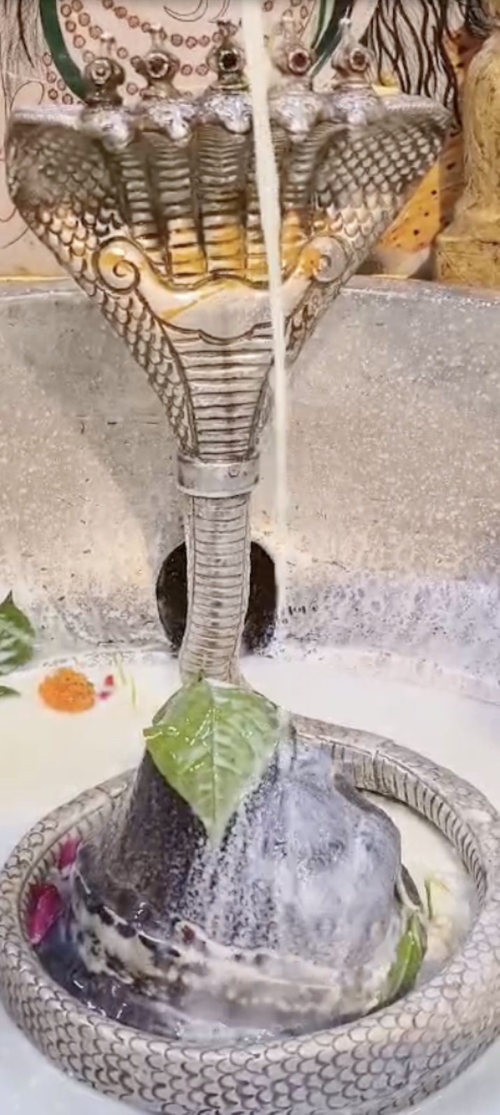 Rudrabhishek to Shree Kubereshwar Mahadev