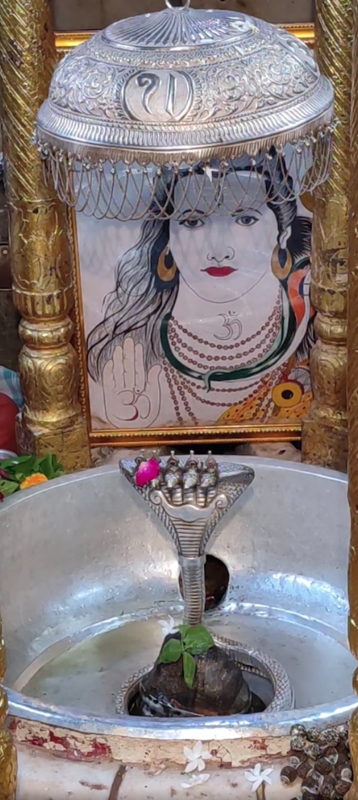 Rudrabhishek to Shree Kubereshwar Mahadev